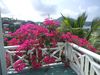 DSCF1341.jpg