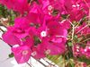 DSCF1342.jpg