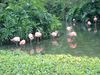 Filename=DSC00033.jpg
Filesize=160KiB
Dimensions=640x480
Date added=Mar 11, 2018 DSC00033.jpg