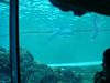 Filename=DSC00034.jpg
Filesize=78KiB
Dimensions=640x480
Date added=Mar 11, 2018 DSC00034.jpg