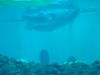 Filename=DSC00035.jpg
Filesize=44KiB
Dimensions=640x480
Date added=Mar 11, 2018 DSC00035.jpg