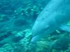 Filename=DSC00036.jpg
Filesize=68KiB
Dimensions=640x480
Date added=Mar 11, 2018 DSC00036.jpg