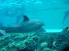 Filename=DSC00037.jpg
Filesize=84KiB
Dimensions=640x480
Date added=Mar 11, 2018 DSC00037.jpg