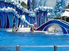 Filename=DSC00039.jpg
Filesize=129KiB
Dimensions=640x480
Date added=Mar 11, 2018 DSC00039.jpg