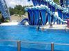 Filename=DSC00040.jpg
Filesize=130KiB
Dimensions=640x480
Date added=Mar 11, 2018 DSC00040.jpg