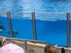 Filename=DSC00041.jpg
Filesize=95KiB
Dimensions=640x480
Date added=Mar 11, 2018 DSC00041.jpg