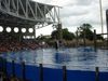 Filename=DSC00048.jpg
Filesize=112KiB
Dimensions=640x480
Date added=Mar 11, 2018 DSC00048.jpg