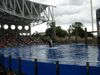 Filename=DSC00049.jpg
Filesize=113KiB
Dimensions=640x480
Date added=Mar 11, 2018 DSC00049.jpg