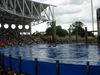 Filename=DSC00050.jpg
Filesize=112KiB
Dimensions=640x480
Date added=Mar 11, 2018 DSC00050.jpg