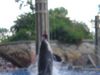 Filename=DSC00053.jpg
Filesize=53KiB
Dimensions=640x480
Date added=Mar 11, 2018 DSC00053.jpg