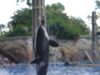 Filename=DSC00054.jpg
Filesize=55KiB
Dimensions=640x480
Date added=Mar 11, 2018 DSC00054.jpg