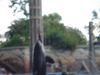 Filename=DSC00055.jpg
Filesize=50KiB
Dimensions=640x480
Date added=Mar 11, 2018 DSC00055.jpg