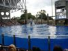 Filename=DSC00057.jpg
Filesize=106KiB
Dimensions=640x480
Date added=Mar 11, 2018 DSC00057.jpg