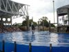 Filename=DSC00058.jpg
Filesize=109KiB
Dimensions=640x480
Date added=Mar 11, 2018 DSC00058.jpg