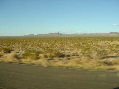 DSC00994.jpg