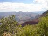 DSC00947.jpg