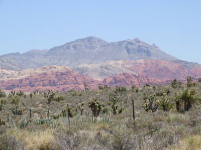 DSCF0771.jpg