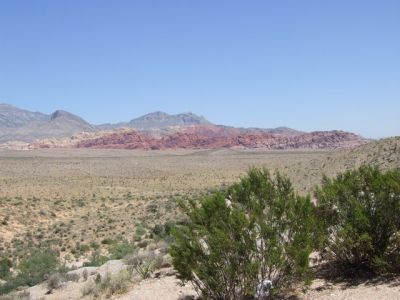 DSCF0775.jpg