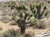 DSCF0772.jpg