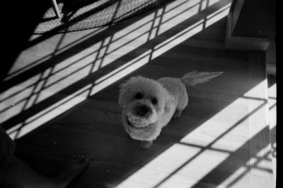 Image00021.jpg