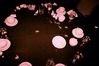 Filename=Image00088.jpg
Filesize=72KiB
Dimensions=640x427
Date added=Mar 11, 2018 Image00088.jpg