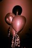 Filename=Image00089.jpg
Filesize=35KiB
Dimensions=320x480
Date added=Mar 11, 2018 Image00089.jpg