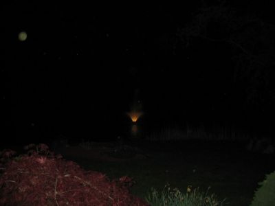 IMG_0238.jpg