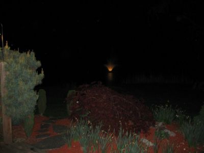 IMG_0239.jpg